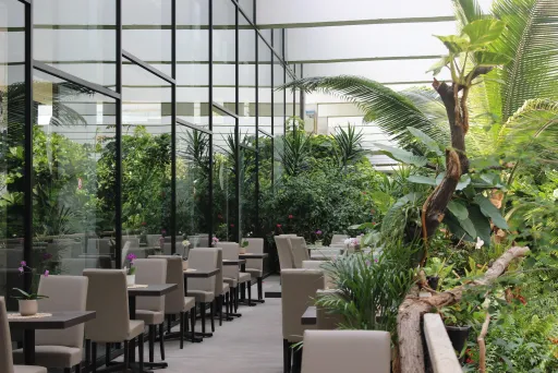 Restaurant Urwaldblick, Biosphäre Potsdam, Location