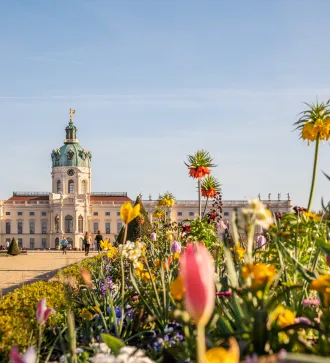 Blumenbeet mit bunten Blumen vor Schloss Charlottenburg bei sonnigem Wetter