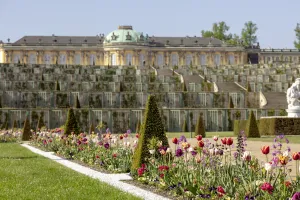 Schloss Sanssouci mit blühenden Beeten und Weinbergterrassen im Vordergrund